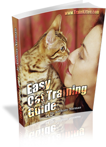 Easy Cat Training Guide